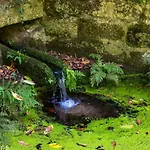 Torrinheira ~ Family Pool And Woods