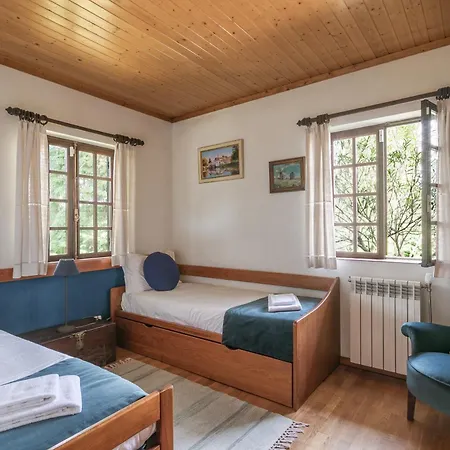 Torrinheira ~ Family Pool And Woods Travanca (Porto)