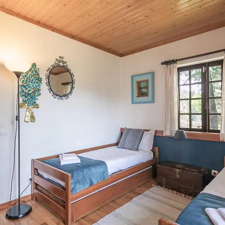Villa Torrinheira ~ Family Pool And Woods Travanca (Porto)