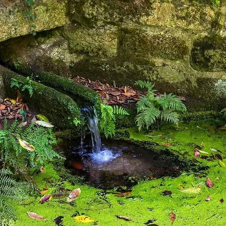 Torrinheira ~ Family Pool And Woods