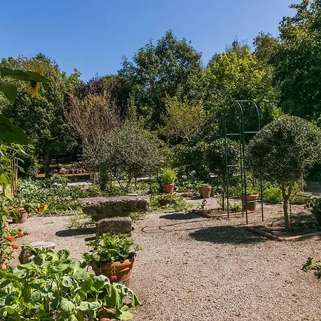 Villa Torrinheira ~ Family Pool And Woods