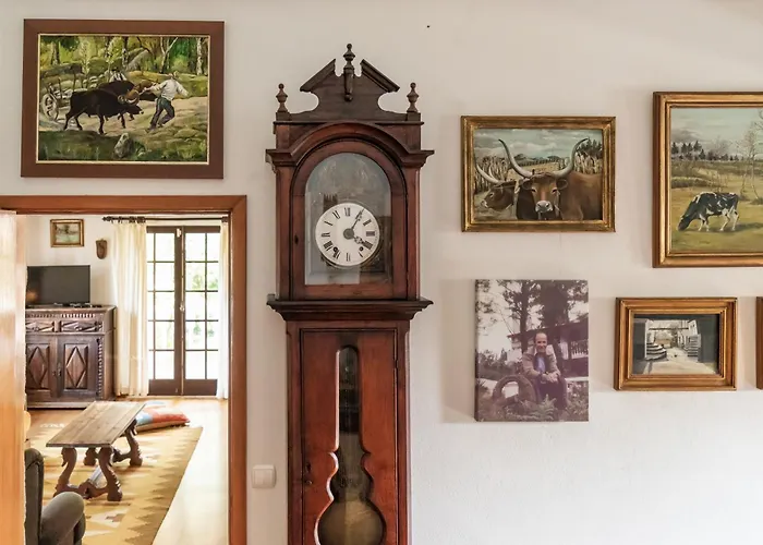 Torrinheira ~ Family Pool And Woods * Travanca (Porto)