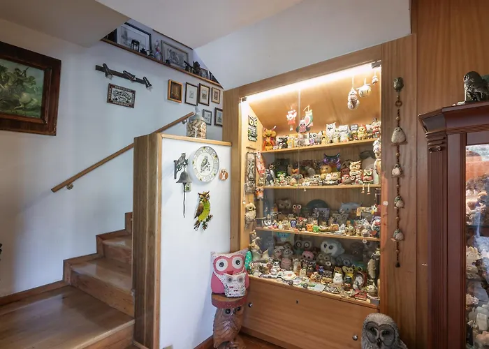 Torrinheira ~ Family Pool And Woods