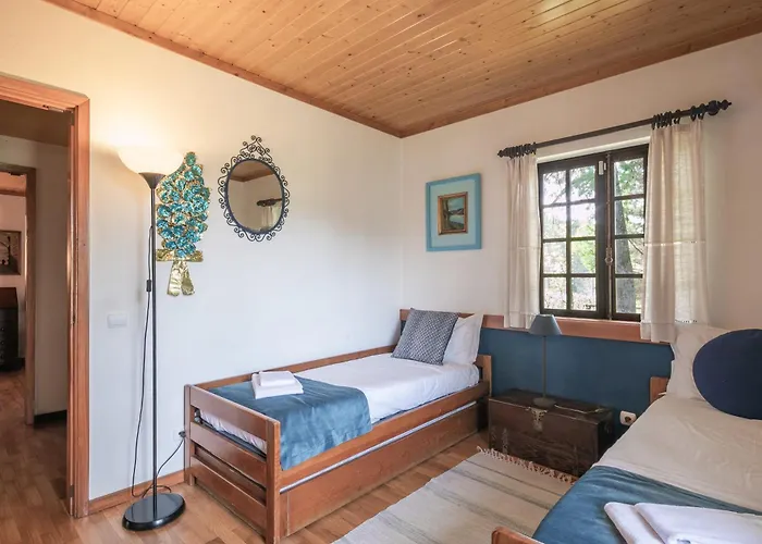 Villa Torrinheira ~ Family Pool And Woods Travanca (Porto)