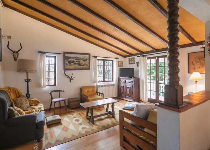 Torrinheira ~ Family Pool And Woods