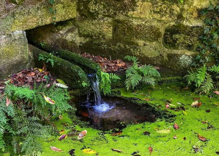 Torrinheira ~ Family Pool And Woods