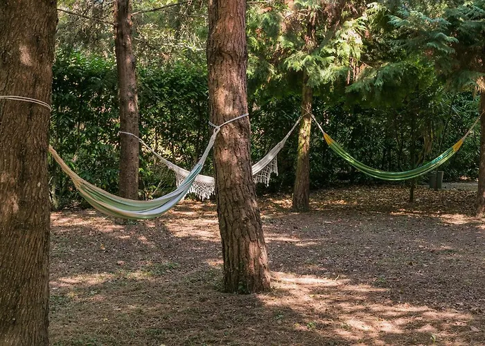 Torrinheira ~ Family Pool And Woods Villa *